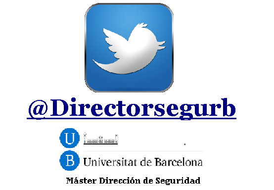 directorsegurb.bmp