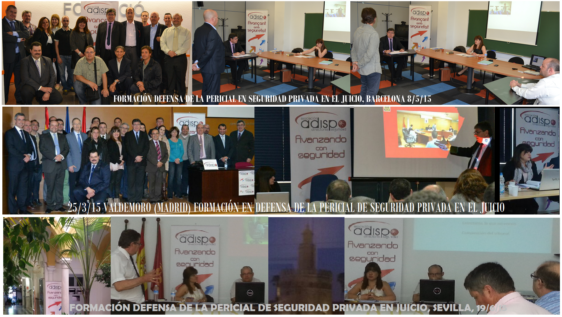 formacin_en_defensa_de_la_pericial_de_seguridad_privada_en_juicio.png